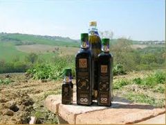 Olio di Cartoceto DOP - tipicità di Torrette di Fano