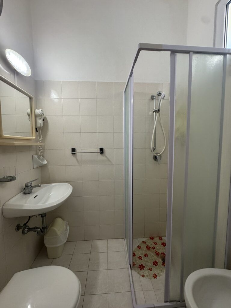 Le camere dell'Hotel Edelweiss - il bagno con il box doccia